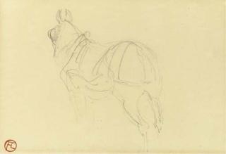 Henri de Toulouse-Lautrec - Cheval (Recto); Etudes (Verso)