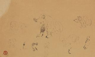 Henri de Toulouse-Lautrec - Études d\'ours (Bärenstudien)
