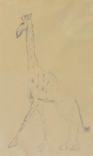 Henri De Toulouse-Lautrec - Girafe (Recto) And Croquis D\'Animeaux (Verso): A Double Sided Drawing