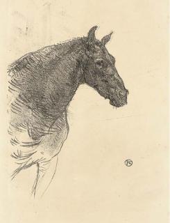 Henri de Toulouse-Lautrec - Le Poney Philibert (Delteil 224; Wittrock 284; Adriani 301)