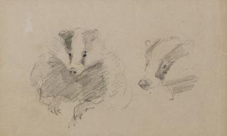 Henri De Toulouse-Lautrec - Putois