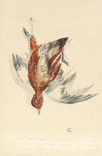 Henri De Toulouse-Lautrec - Rouge de rivière