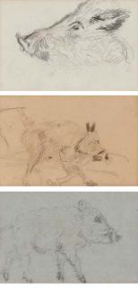 Henri de Toulouse-Lautrec - Trois études: sanglier