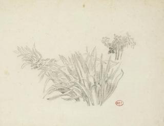 Henri-Edmond Cross - Etude de feuillages