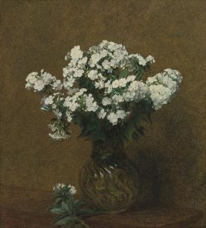 Henri Fantin-Latour - Phlox Blancs Dans Un Vase