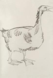 Henri Gaudier-Brzeska - Goose