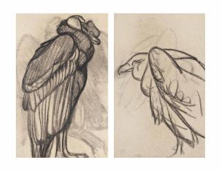 Henri Gaudier-Brzeska - Vulture; Eagle (Verso)