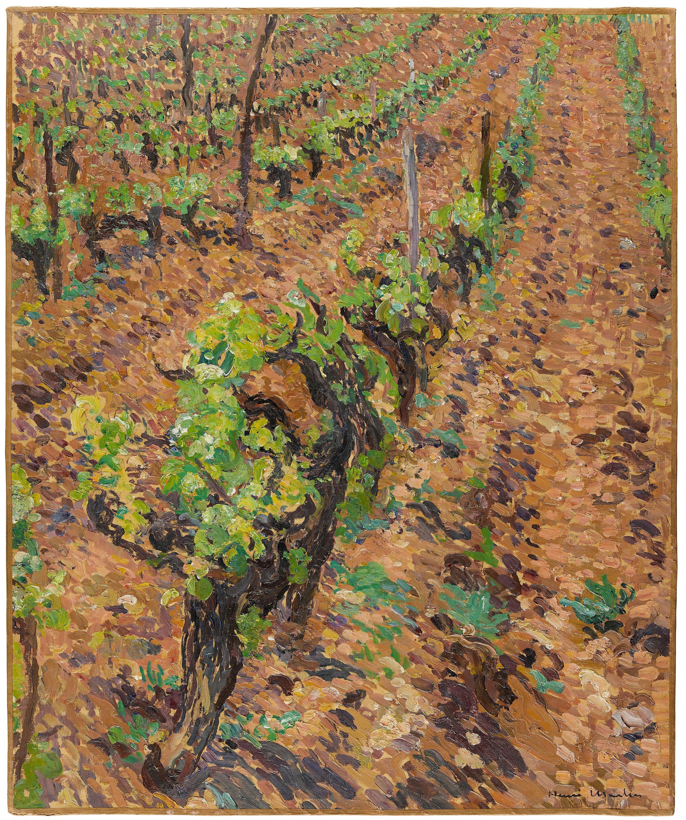 Henri-Jean Guillaume Martin - Vignes