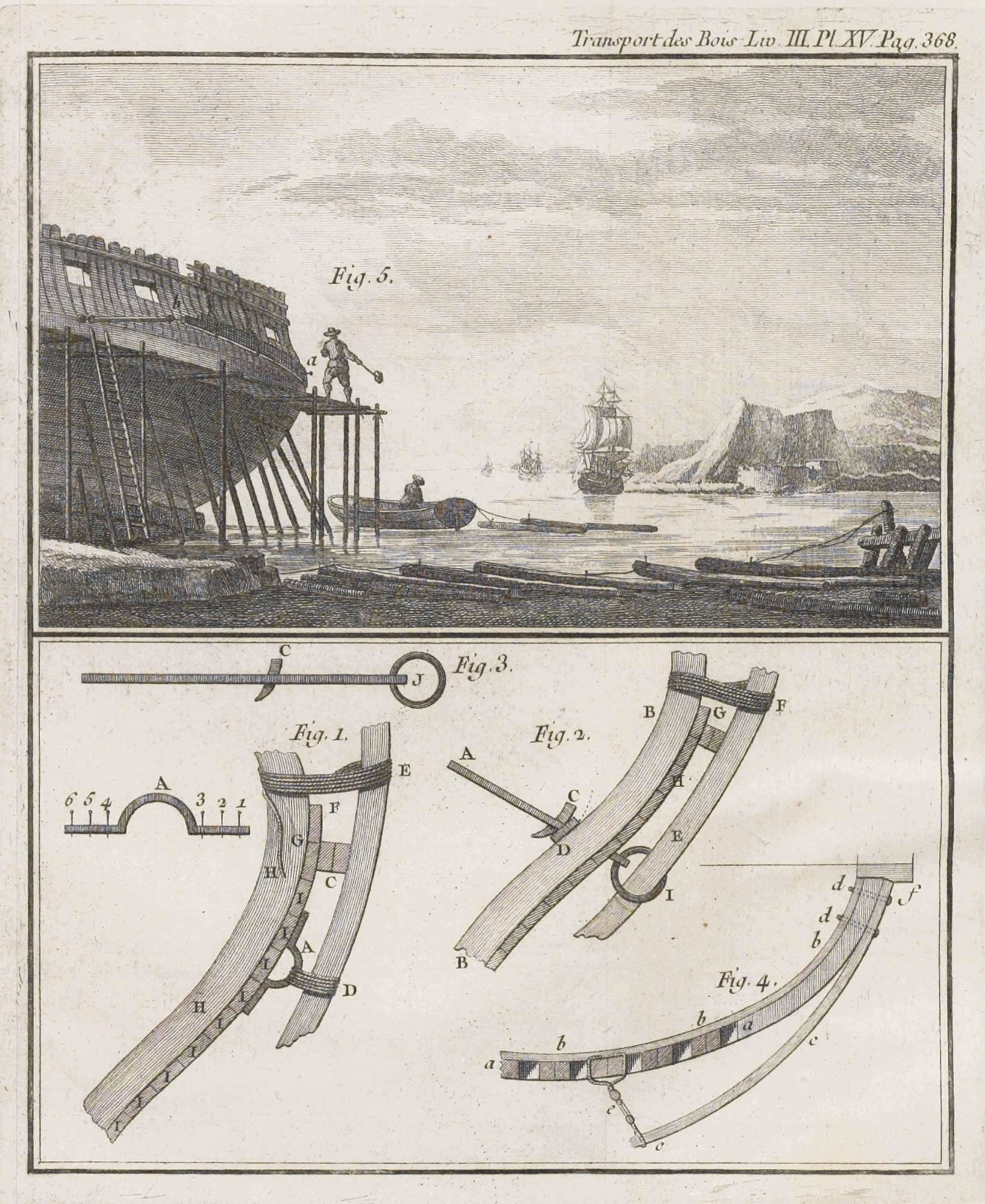 Henri Louis Duhamel Du Monceau - Unknown