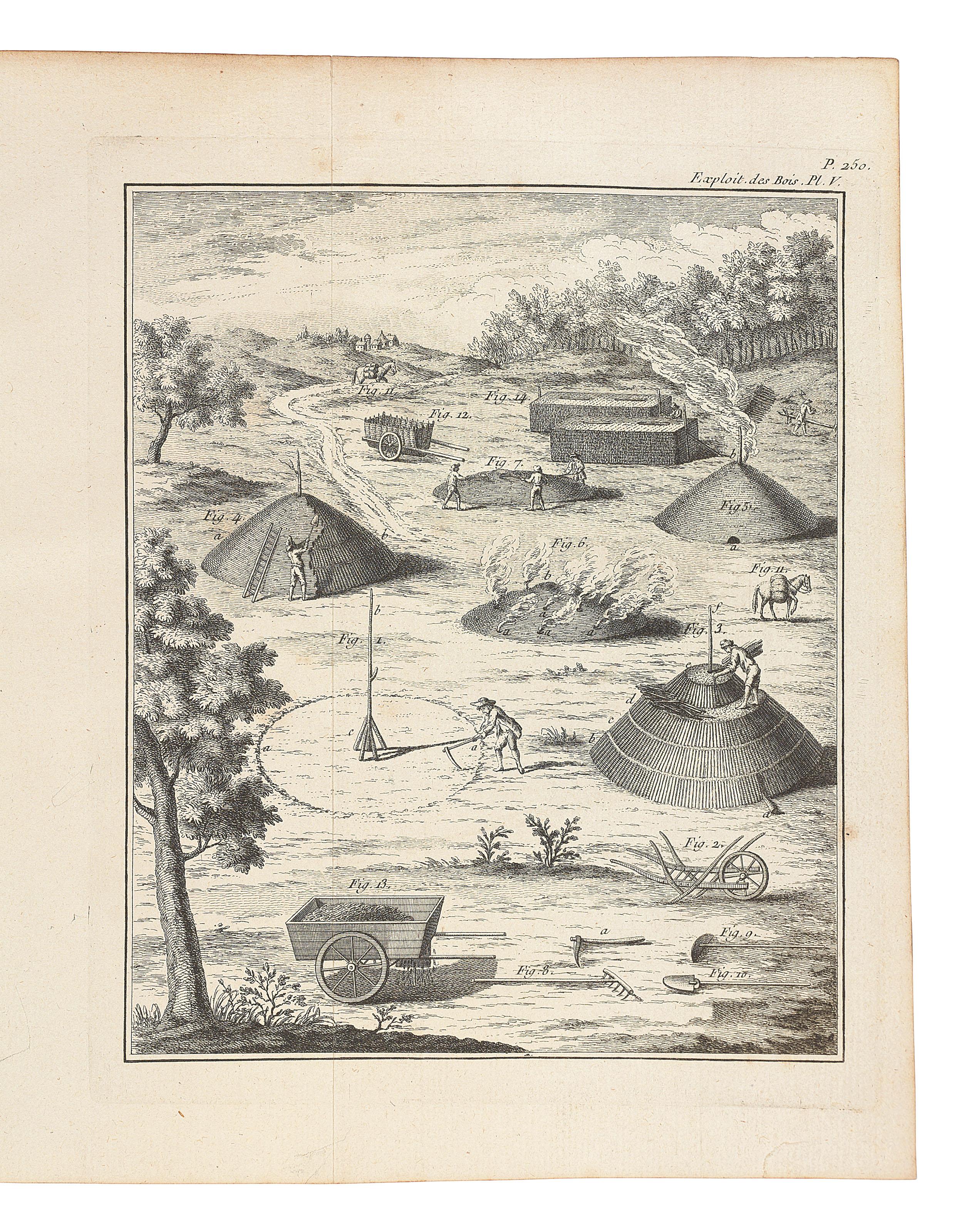 Henri Louise Duhamel Du Monceau - Unknown