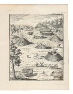 Henri Louise Duhamel Du Monceau - Unknown