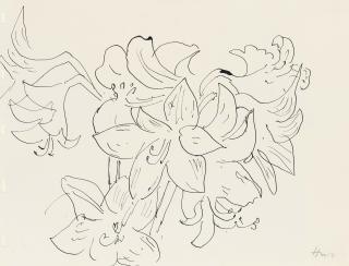 Henri Matisse - Dessin À La Plume (Fleur De Lys)