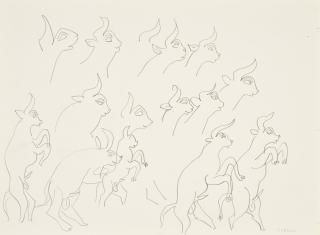 Henri Matisse - Etudes de boucs (recto); Feuilles (verso)