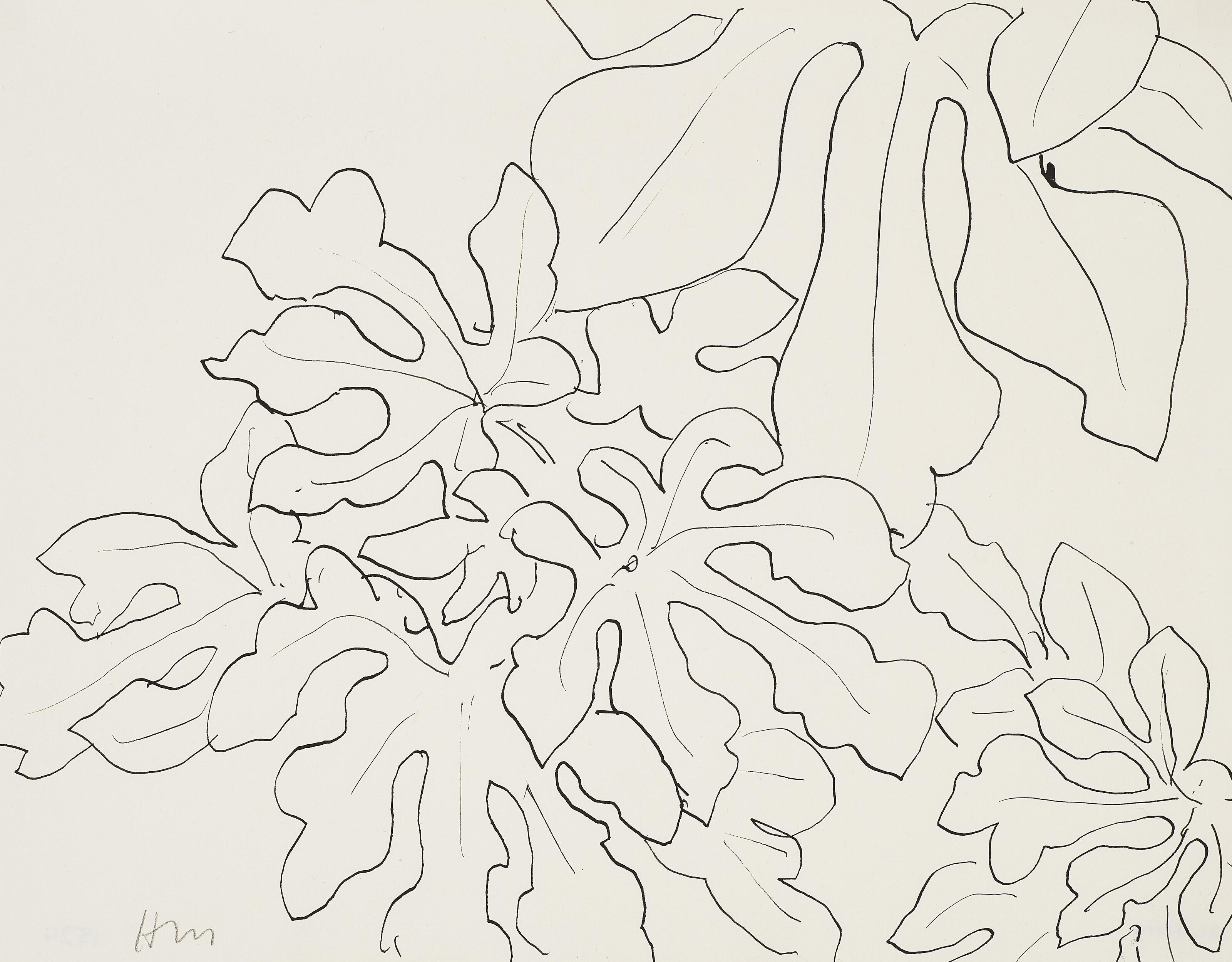 Henri Matisse - Feuilles de figuier