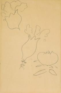 Henri Matisse - Fleurs et grenade