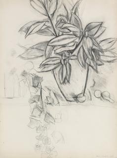 Henri Matisse - Nature Morte Au Lierre