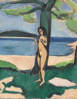 Henri Matisse - Nu au bord de la mer