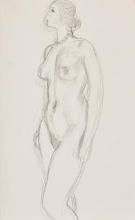 Henri Matisse - Nu de profil