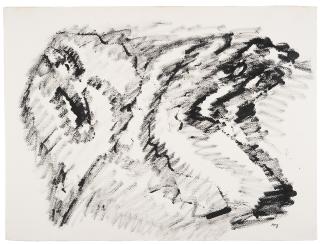 Henri Michaux - Arrachements