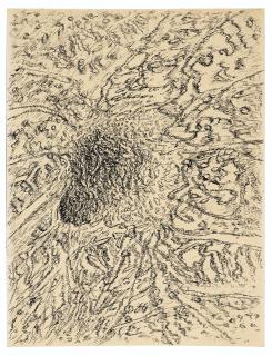 Henri Michaux - Dessin mescalinien