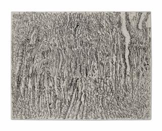 Henri Michaux - Vibrations mescaliennes