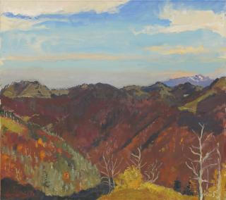 Henri Schmid - Schnebelhorn Bis Säntis, 1996