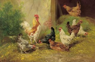 Henri Schouten - A cockerel and chickens in a farmyard