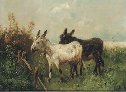 Henri Schouten - Donkeys in a meadow