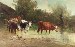Henri Schouten - Watering cows