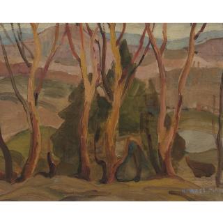 Henrietta Mabel May - Woods Near Knowlton