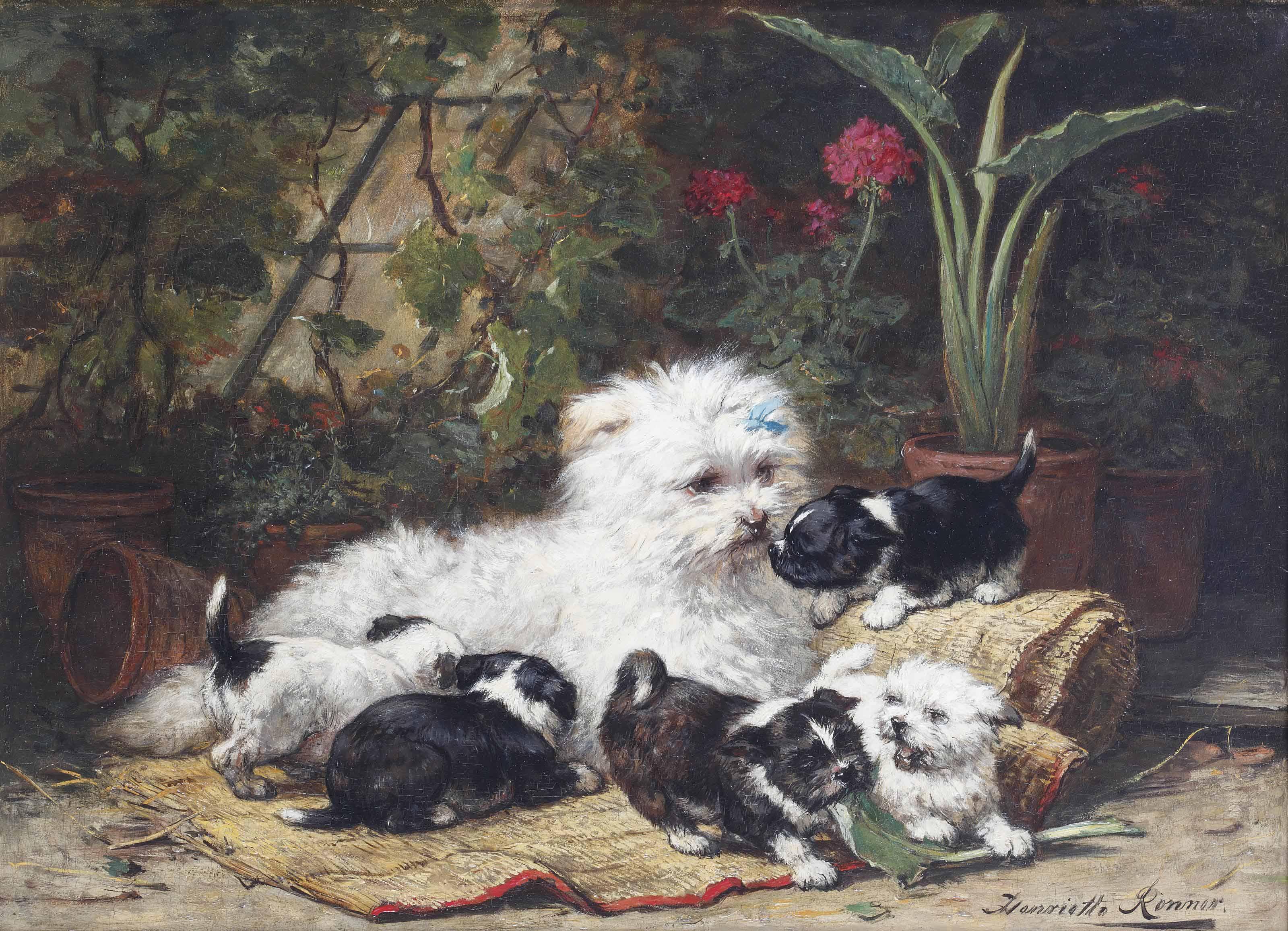 Henriette Ronner-Knip - A cairn terrier and her puppies in a conservatory