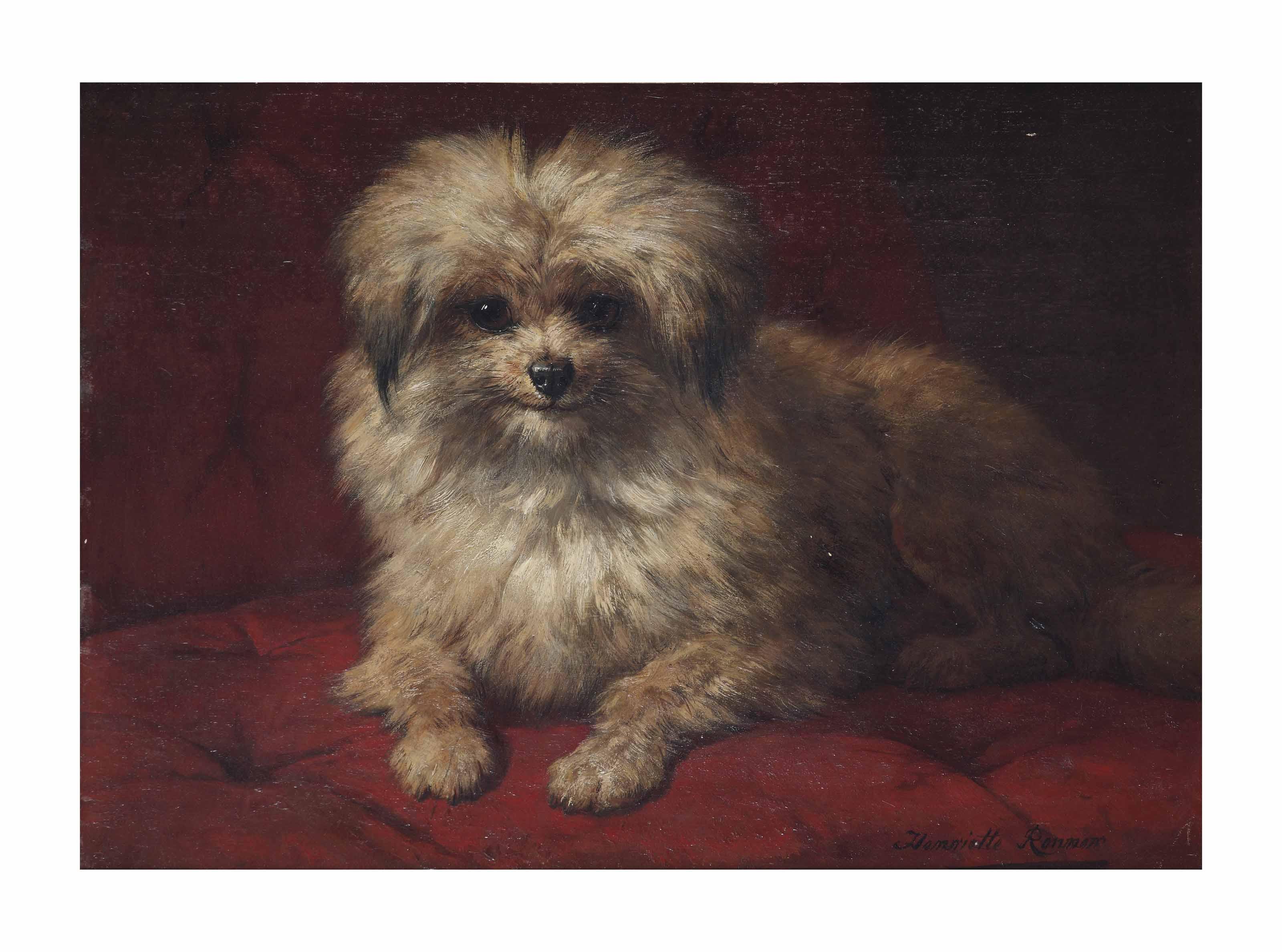 Henriette Ronner-Knip - Fido