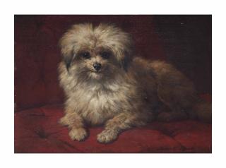 Henriette Ronner-Knip - Fido
