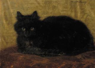 Henriette Ronner - A black cat
