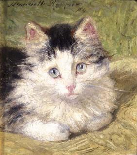 Henriëtte Ronner - A curious kitten