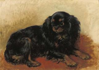Henriëtte Ronner - A prince Charles dog