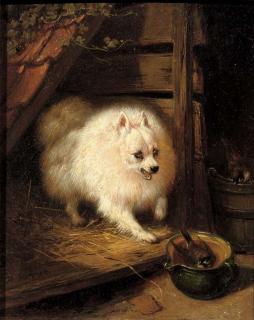 Henriette Ronner - An unwelcome intruder