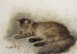 Henriette Ronner - Angora brun