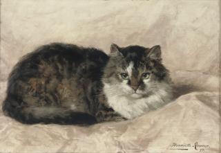 Henriette Ronner - On a pink pillow