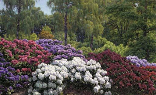 Henrik Gamst Jespersen - A rhododendron garden
