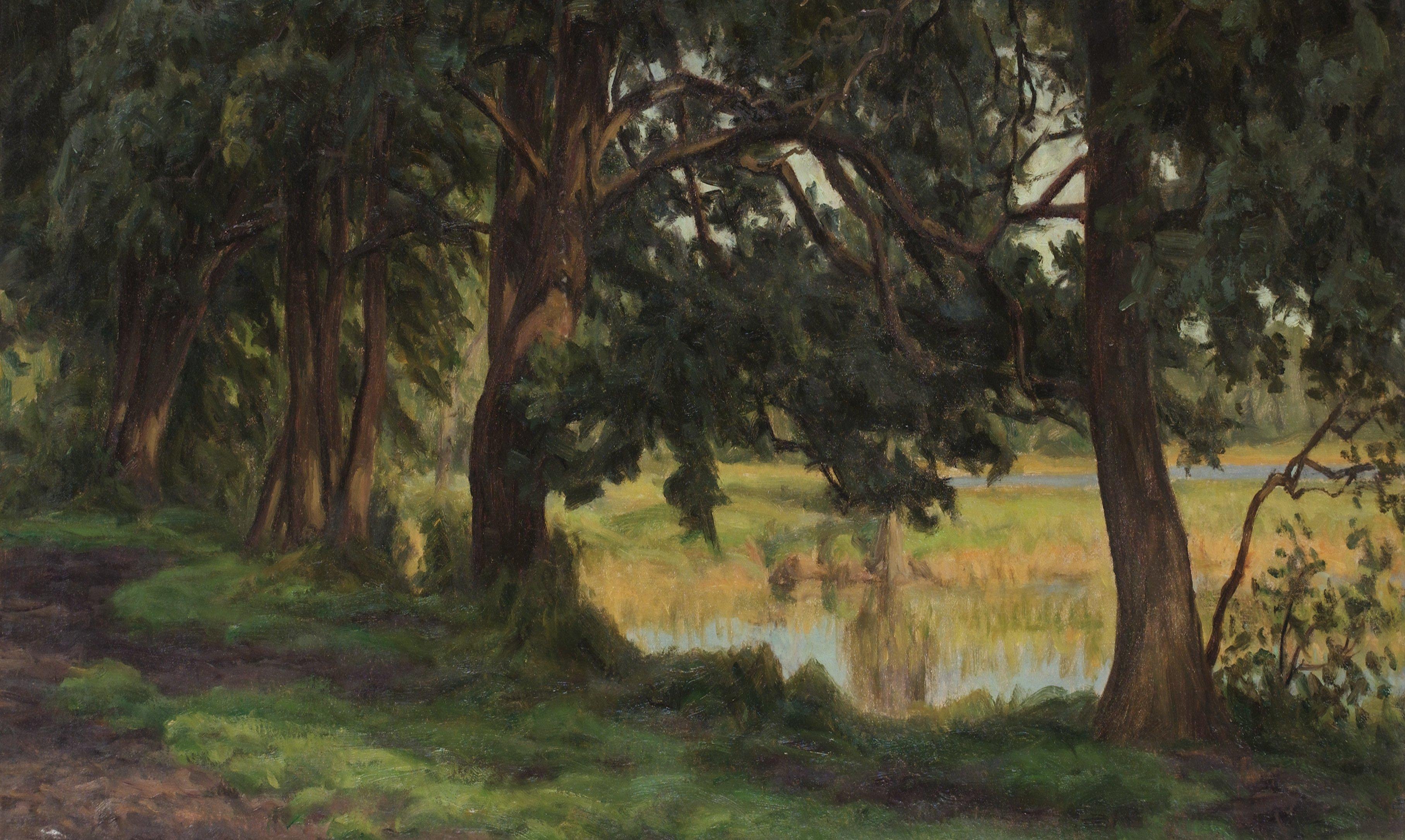 Henrik Jespersen - Solbelyst insjölandskap