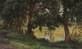 Henrik Jespersen - Solbelyst insjölandskap