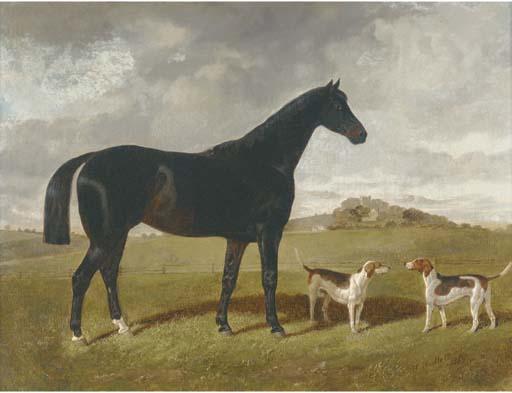 Henry A. Woollett - A dark brown hunter with two hounds in a landscape, with Brindle Church, Lancashire, beyond