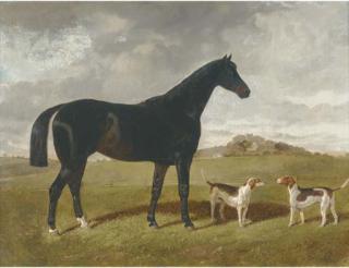 Henry A. Woollett - A dark brown hunter with two hounds in a landscape, with Brindle Church, Lancashire, beyond