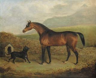Henry Barnard Chalon - The Sligo Waxy, a bay racehorse, with a Manchester terrier, in a field
