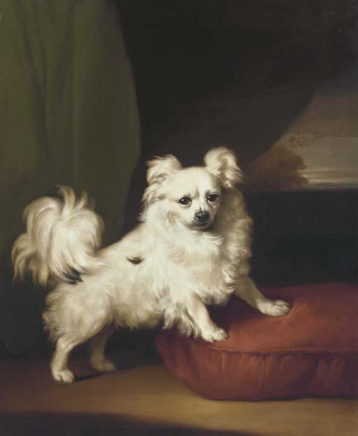 Henry Bernard Chalon - A White Papillon standing on a cushion