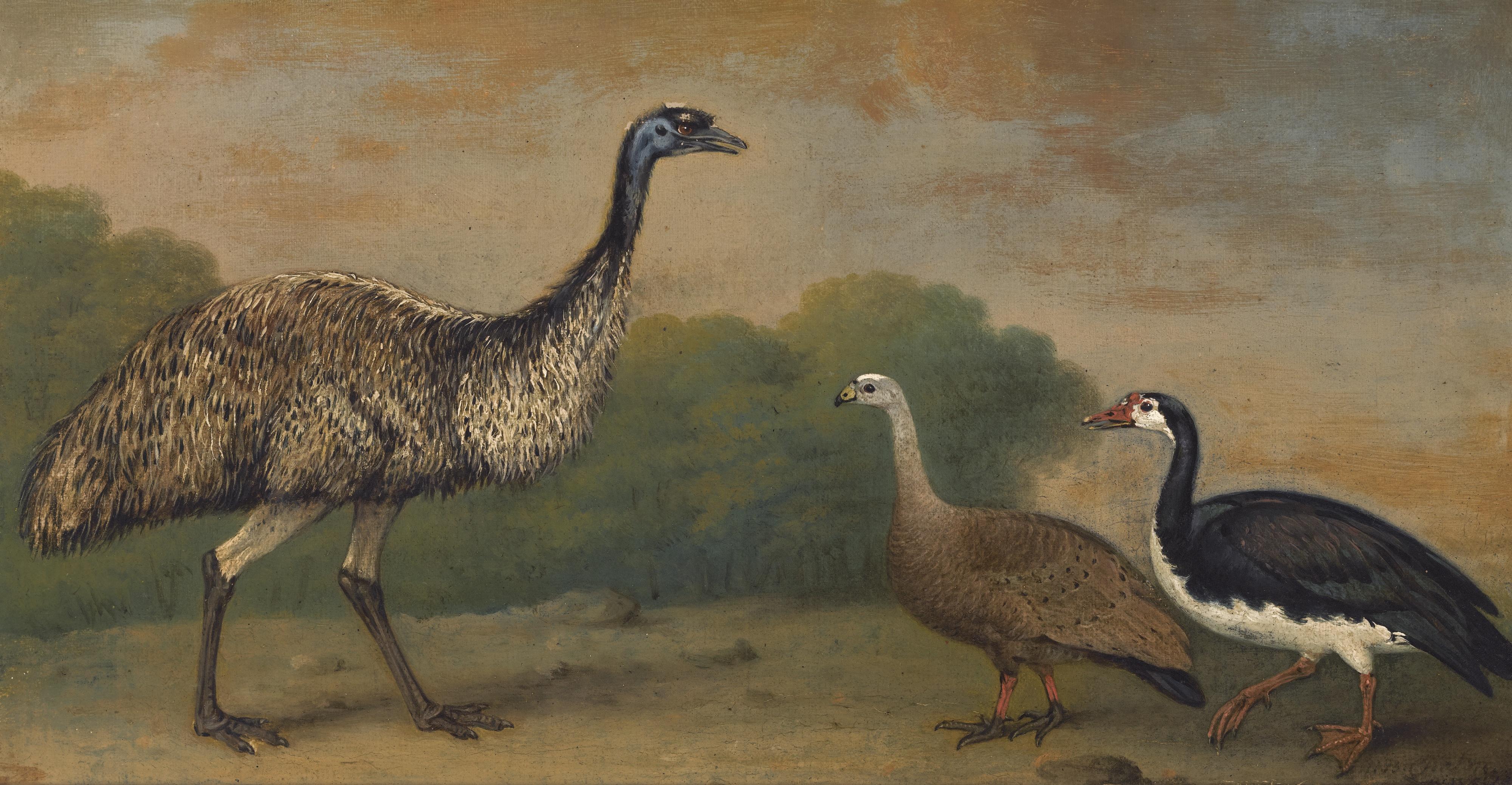 Henry Bernard Chalon - An Emu, A Cape Barren Goose And A Magpie Goose, In A Landscape