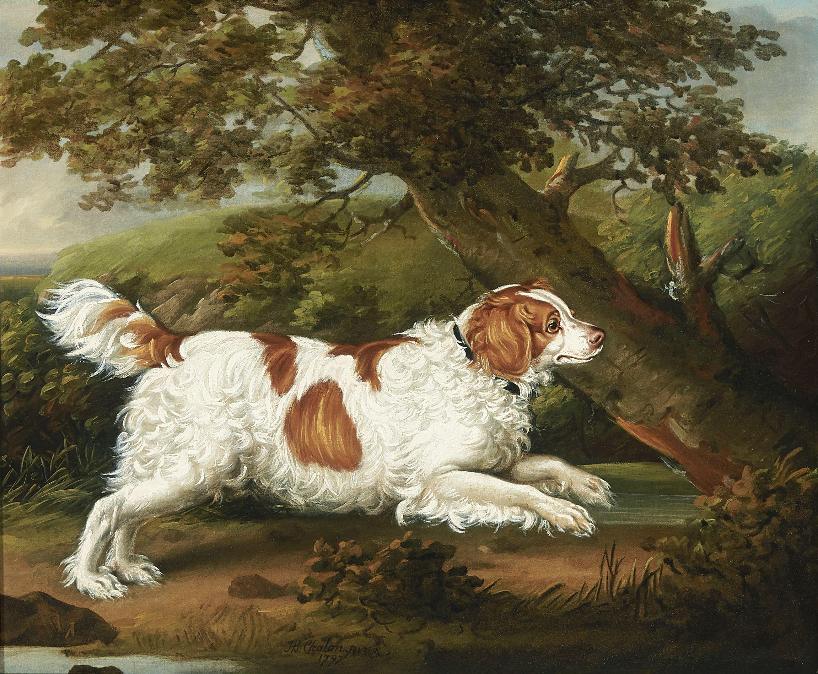 Henry Bernard Chalon - Quaile, an English spaniel in a wooded landscape