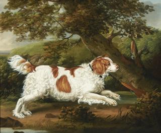 Henry Bernard Chalon - Quaile, an English spaniel in a wooded landscape
