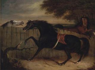 Henry Bernard Chalon - The stallion Smolensko with a grey mare and another horse by a fence
